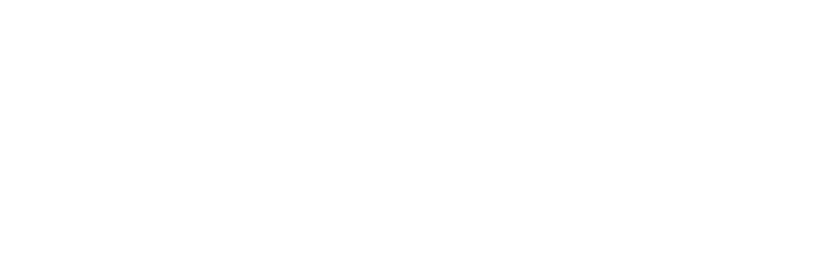 51WORLD — digital twin platform partner